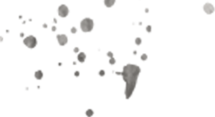 Performance Verification